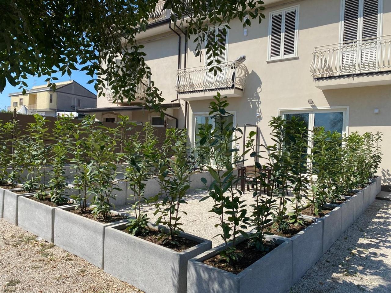 埃博利Cilento Contemporary House Con Idromassaggio Jacuzzi别墅 外观 照片